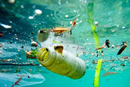 Wastes and Emissions from Aviation: the problems and the solutions