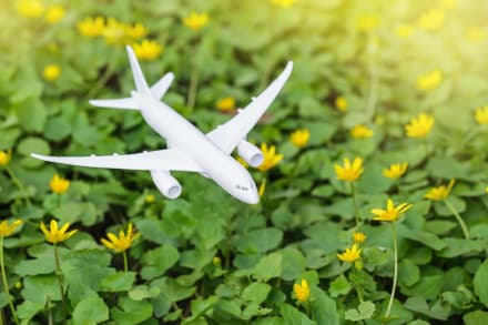 Six innovative steps to make aviation fuel from household wastes