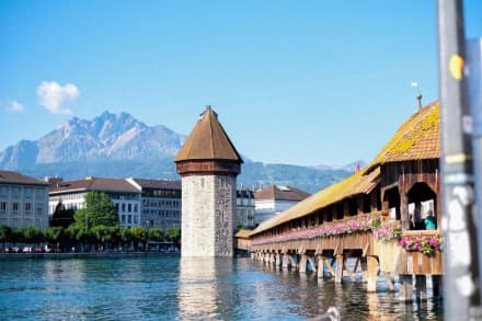Avioxx attends the European Fuels Cell Forum: Advancing Solid Oxide Fuel Cell Technology