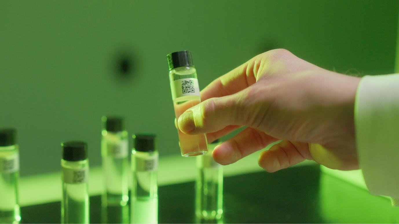 Could waste-to-molecule technology make airport expansions sustainable?